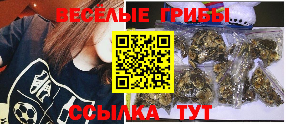 Галлюциногенные грибы мухоморы Реутов