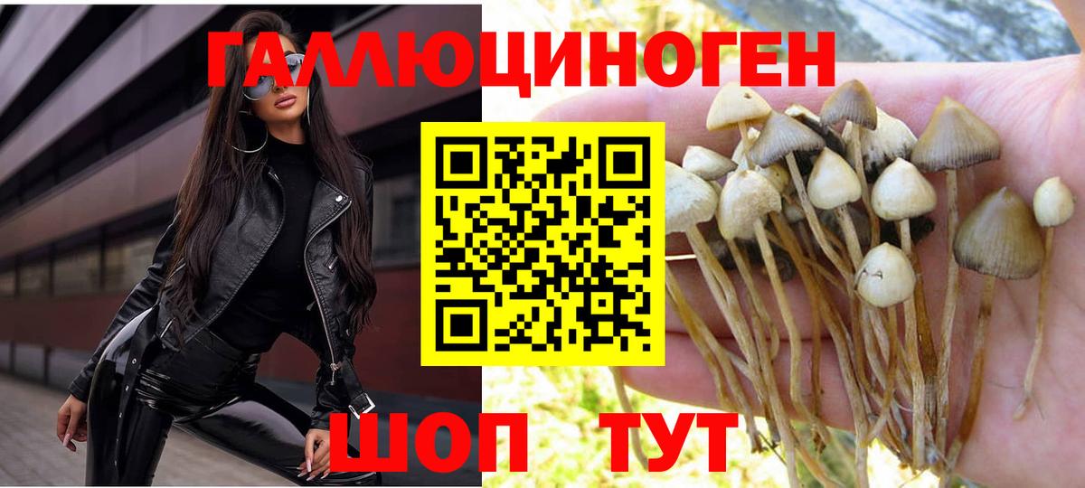 Псилоцибиновые грибы Psilocybe  Галлюциногенные грибы мицелий  Вход с VPN  Реутов 
